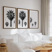 3 Piece Nautical Wall Art – Black and White Palm Tree Set - Dark Brown Framed Poster with White Border - Artworksets