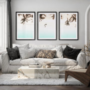 Palm Shadow Beach Themed Wall Pictures - Black Framed Poster with White Border - Artworksets