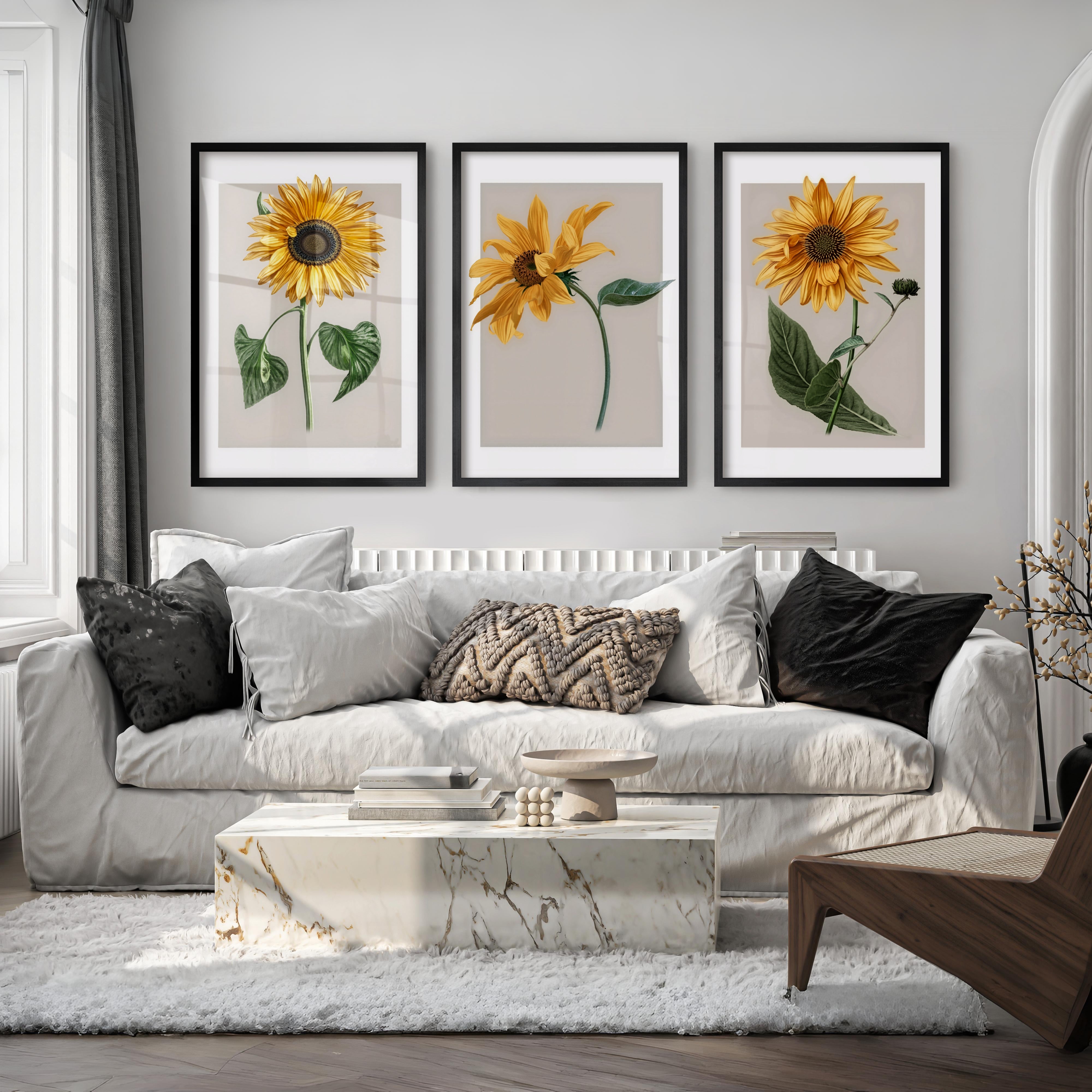 Botanical Wall Decor Sunflower Floral Print Set of 3 - Black Framed Poster No Border - Artworksets
