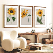 Botanical Wall Decor Sunflower Floral Print Set of 3 - Dark Brown Framed Poster No Border - Artworksets