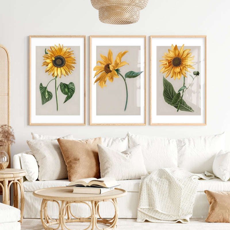 Botanical Wall Decor Sunflower Floral Print Set of 3 - Natural Wood Framed Poster No Border - Artworksets