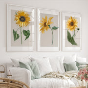 Botanical Wall Decor Sunflower Floral Print Set of 3 - White Framed Poster No Border - Artworksets