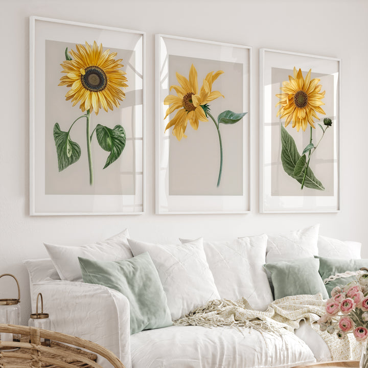 Botanical Wall Decor Sunflower Floral Print Set of 3 - White Framed Poster No Border - Artworksets