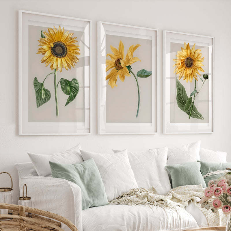 Botanical Wall Decor Sunflower Floral Print Set of 3 - White Framed Poster with White Border - Artworksets