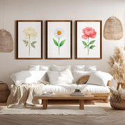 Floral Prints – Peony and Daisy Botanical Wall Art Set of 3
 - Dark Brown Framed Poster No Border - Artworksets