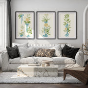 Framed Flower Wall Art – Vintage Bouquet Set of 3







 - Black Framed Poster with White Border - Artworksets