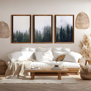 Green Pine Tree Forest – Foggy Nature Wall Art Prints - Dark Brown Framed Poster No Border - Artworksets