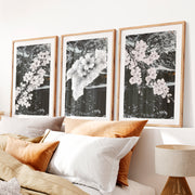 Cherry Blossom Branches japandi style decor- Natural Wood Framed Poster with White Border - Artworksets