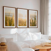 Modern Beach Wall Art – Sunlit Dune Grass Triptych (3 Prints) - Dark Brown Framed Poster with White Border - Artworksets