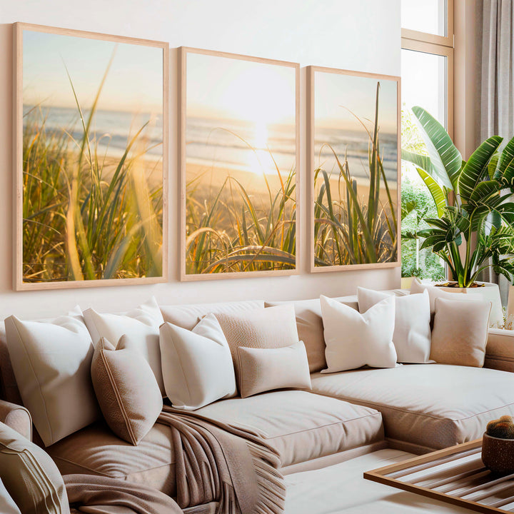 Modern Beach Wall Art – Sunlit Dune Grass Triptych (3 Prints) - Natural Wood Framed Poster No Border - Artworksets