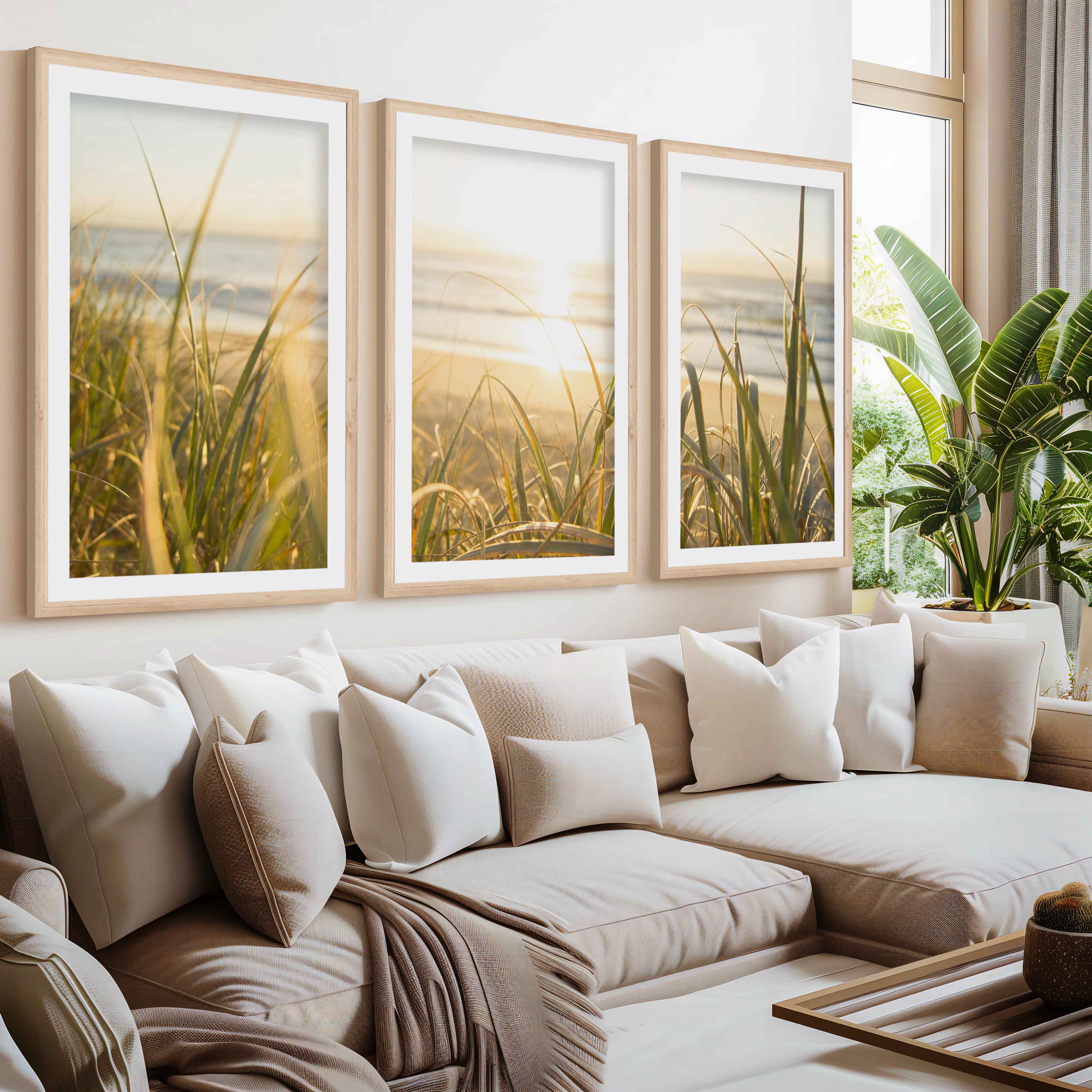 Modern Beach Wall Art – Sunlit Dune Grass Triptych (3 Prints)- Natural Wood Framed Poster with White Border - Artworksets
