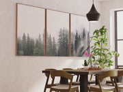 Green Pine Tree Forest – Foggy Nature Wall Art Prints