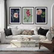 Retro Botanical Prints Pink Flower Art Set of 3 - Black Framed Poster with White Border - Artworksets