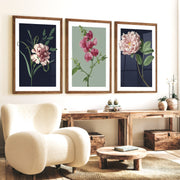 Retro Botanical Prints Pink Flower Art Set of 3 - Dark Brown Framed Poster No Border - Artworksets