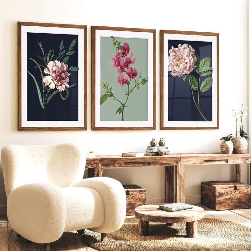 Retro Botanical Prints Pink Flower Art Set of 3 - Dark Brown Framed Poster with White Border - Artworksets