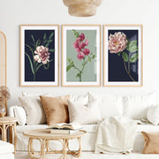 Retro Botanical Prints Pink Flower Art Set of 3- Natural Wood Framed Poster with White Border - Artworksets