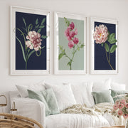 Retro Botanical Prints Pink Flower Art Set of 3 - White Framed Poster No Border - Artworksets