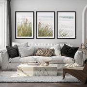 Beach Grass Seaside Wall Decor - Black Framed Poster with White Border - Artworksets