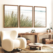 Beach Grass Seaside Wall Decor - Dark Brown Framed Poster No Border - Artworksets