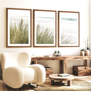 Beach Grass Seaside Wall Decor - Dark Brown Framed Poster with White Border - Artworksets