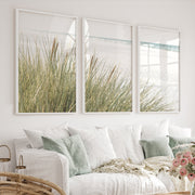 Beach Grass Seaside Wall Decor - White Framed Poster No Border - Artworksets