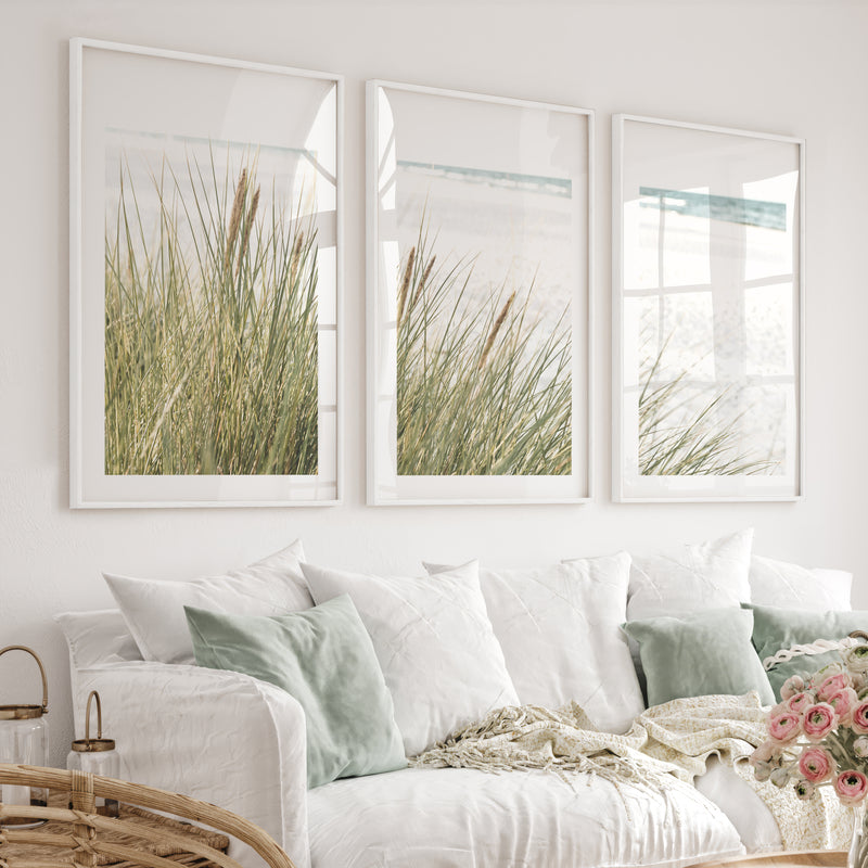 Beach Grass Seaside Wall Decor - White Framed Poster with White Border - Artworksets