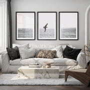Seagull Over the Water Seaside Wall Decor - Black Framed Poster with White Border - Artworksets