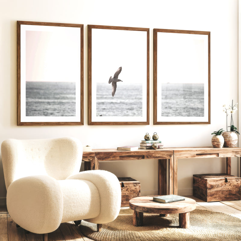 Seagull Over the Water Seaside Wall Decor - Dark Brown Framed Poster with White Border - Artworksets