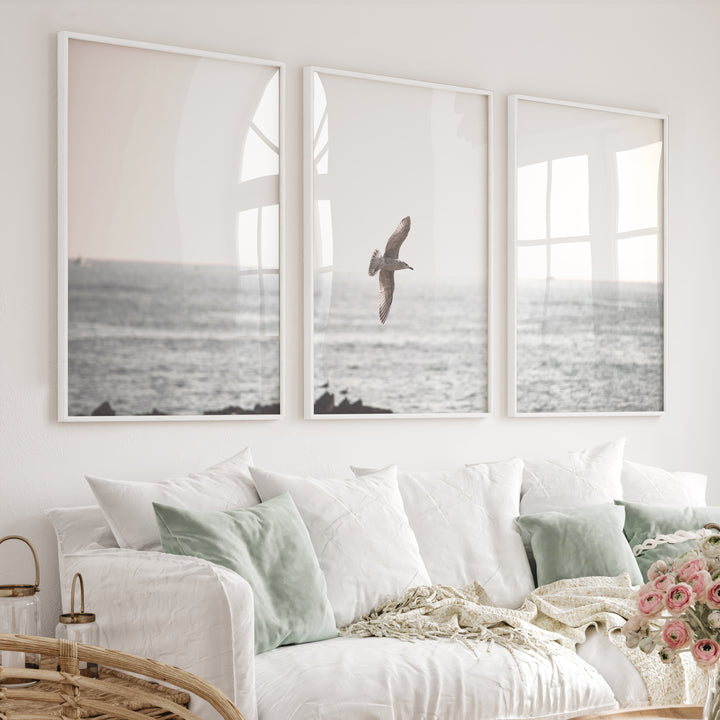 Seagull Over the Water Seaside Wall Decor - White Framed Poster No Border - Artworksets
