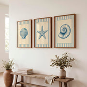 Nautical Scallop Shell Vintage Art Wall Set - Dark Brown Framed Poster No Border - Artworksets