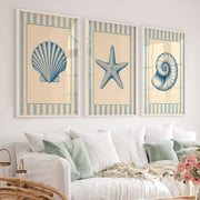 Nautical Scallop Shell Vintage Art Wall Set - White Framed Poster No Border - Artworksets