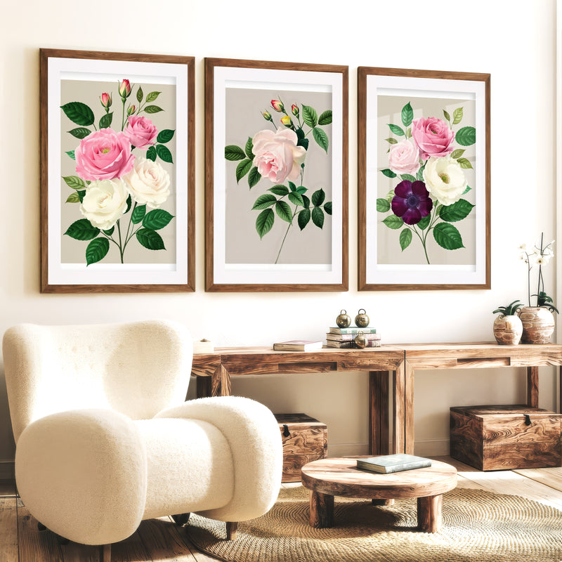 Vintage Botanical Paintings Rose Floral Art Set of 3 - Dark Brown Framed Poster with White Border - Artworksets