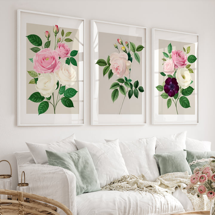 Vintage Botanical Paintings Rose Floral Art Set of 3 - White Framed Poster No Border - Artworksets