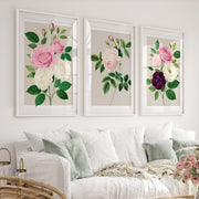 Vintage Botanical Paintings Rose Floral Art Set of 3 - White Framed Poster with White Border - Artworksets
