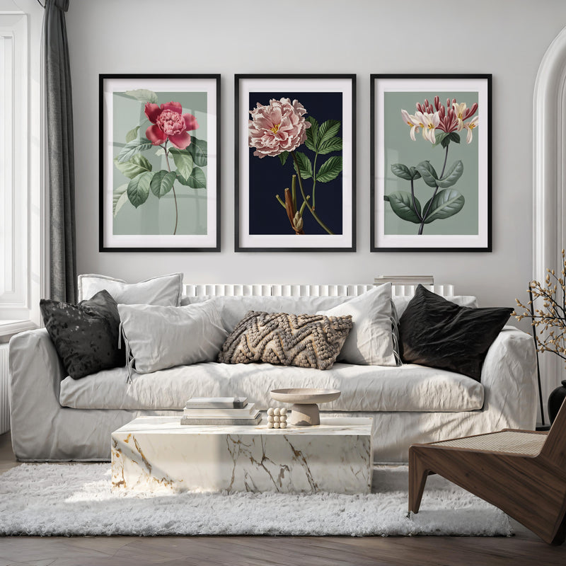 Vintage Botanical Wall Art Classic Flower Set of 3 - Black Framed Poster with White Border - Artworksets