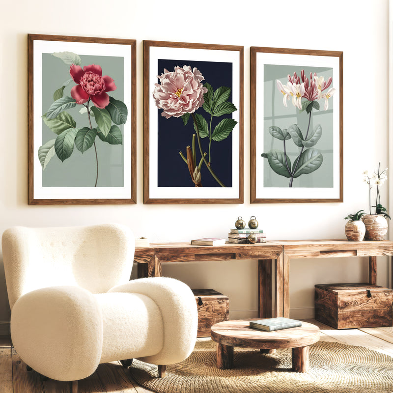 Vintage Botanical Wall Art Classic Flower Set of 3 - Dark Brown Framed Poster No Border - Artworksets
