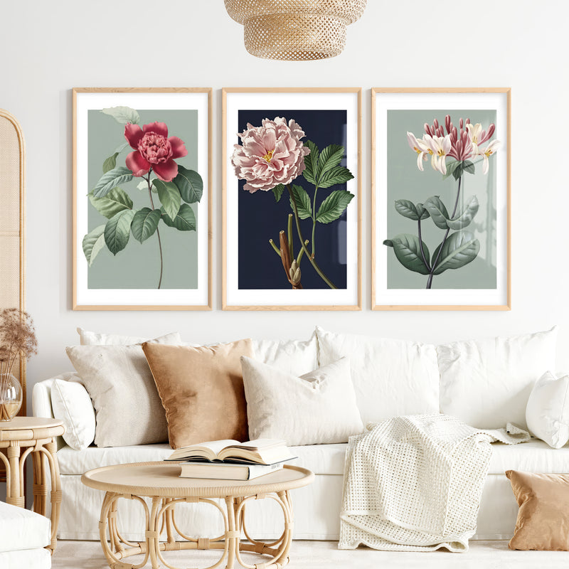 Vintage Botanical Wall Art Classic Flower Set of 3 - Natural Wood Framed Poster No Border - Artworksets