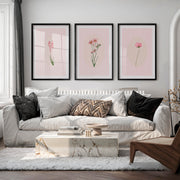 Vintage Wall Art Featuring Pink Floral Illustrations Set - Black Framed Poster with White Border - Artworksets