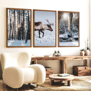Winter Art Prints – Snowy Deer, Forest & Rustic Cabin - Dark Brown Framed Poster No Border - Artworksets